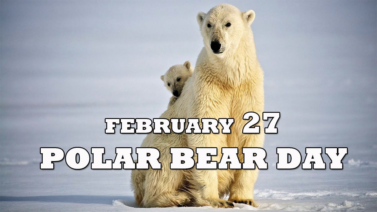 Bear day. Polar Bear Day. Polar Day. World Bear Day. International Polar Bear Day logo.