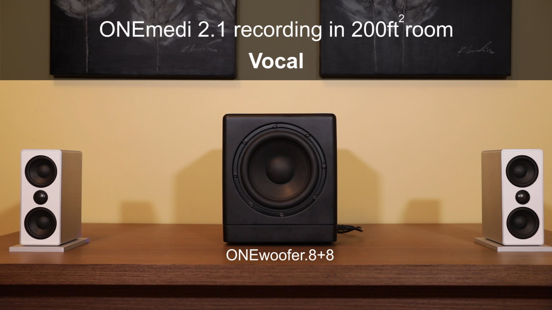 ONEmedi 2.1 recording- Vocal