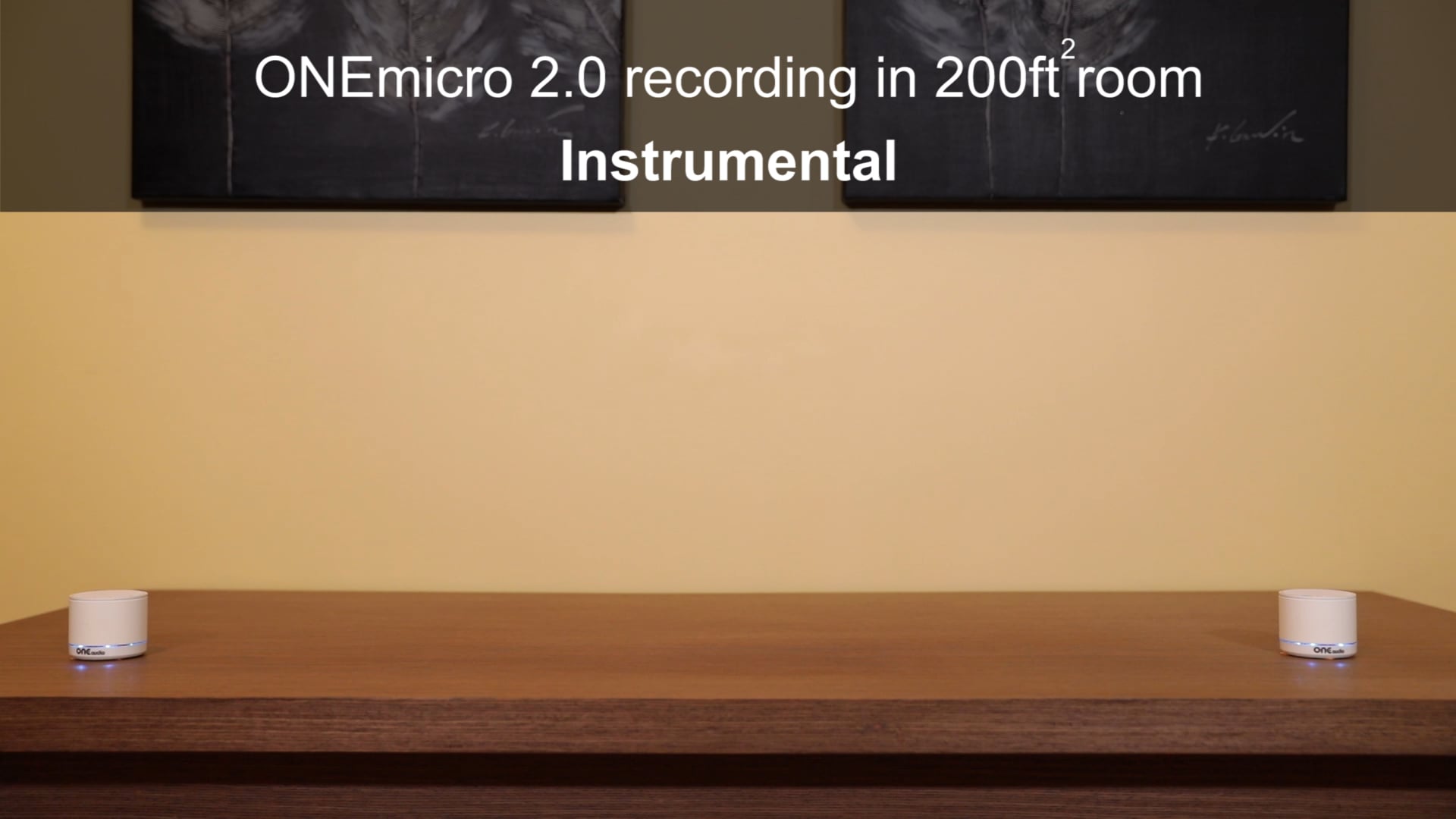 ONEmicro 2.0 recording- Instrumental