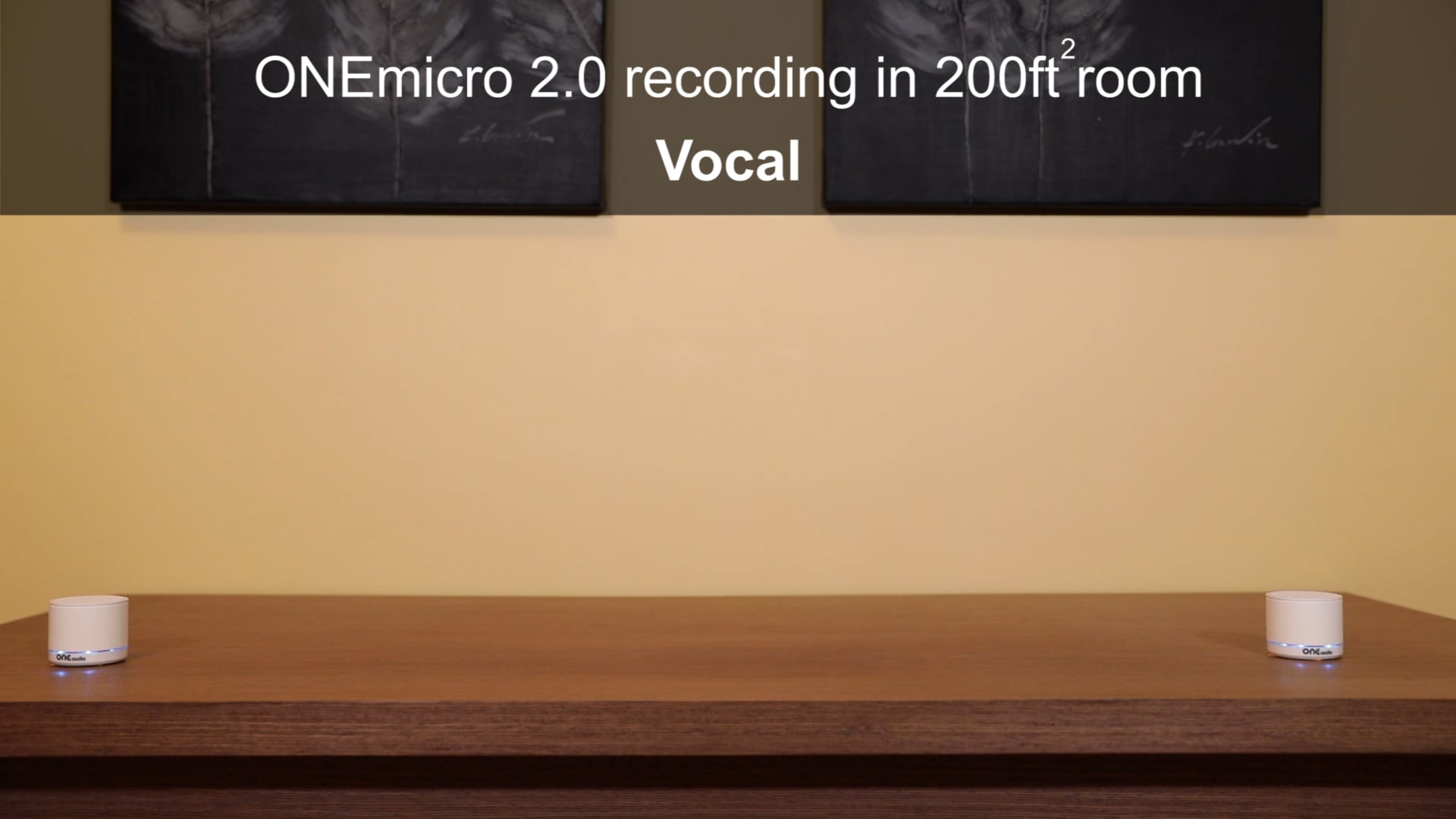 ONEmicro 2.0 recording- Vocal