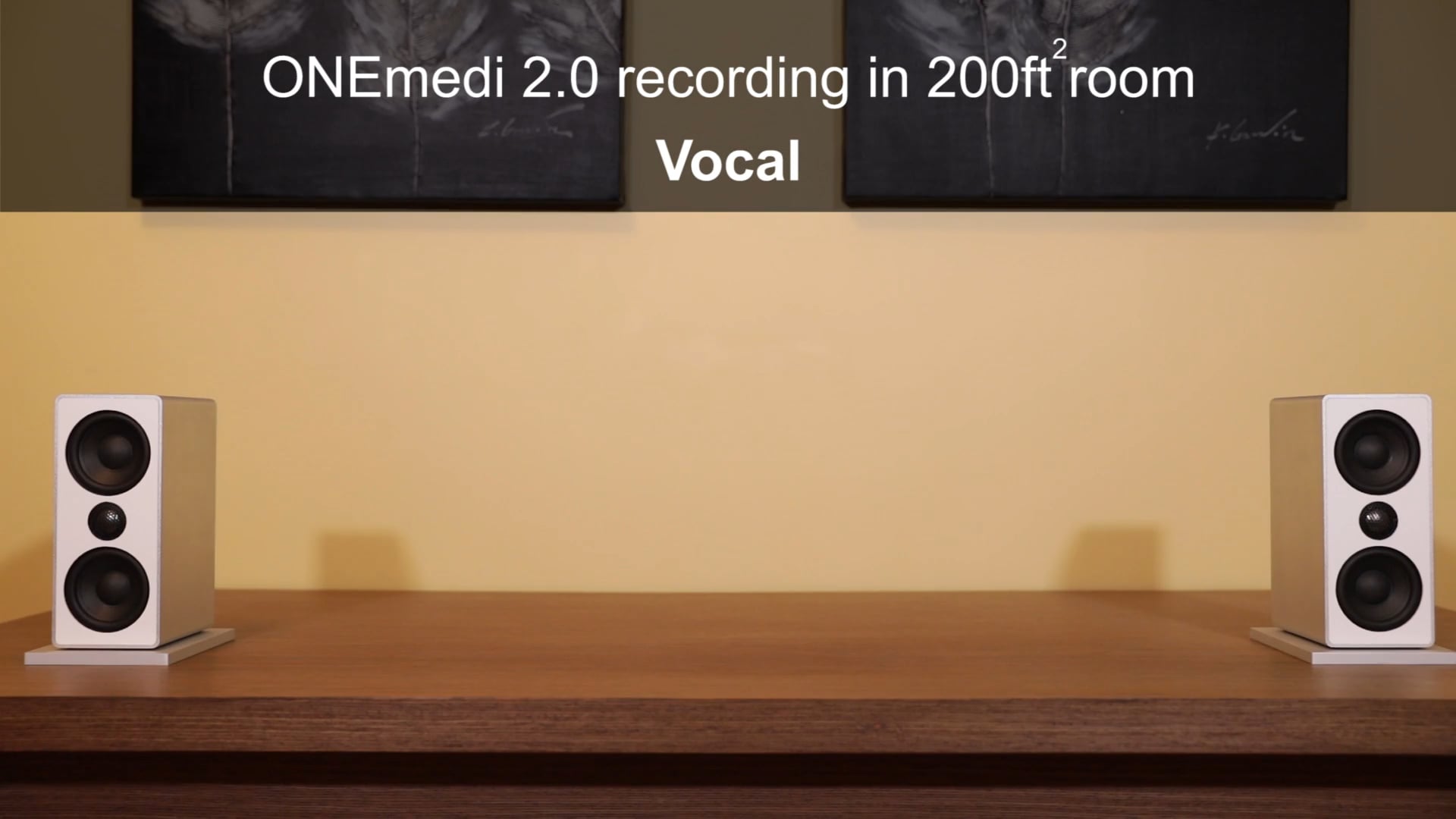 ONEmedi 2.0 recording- Vocal