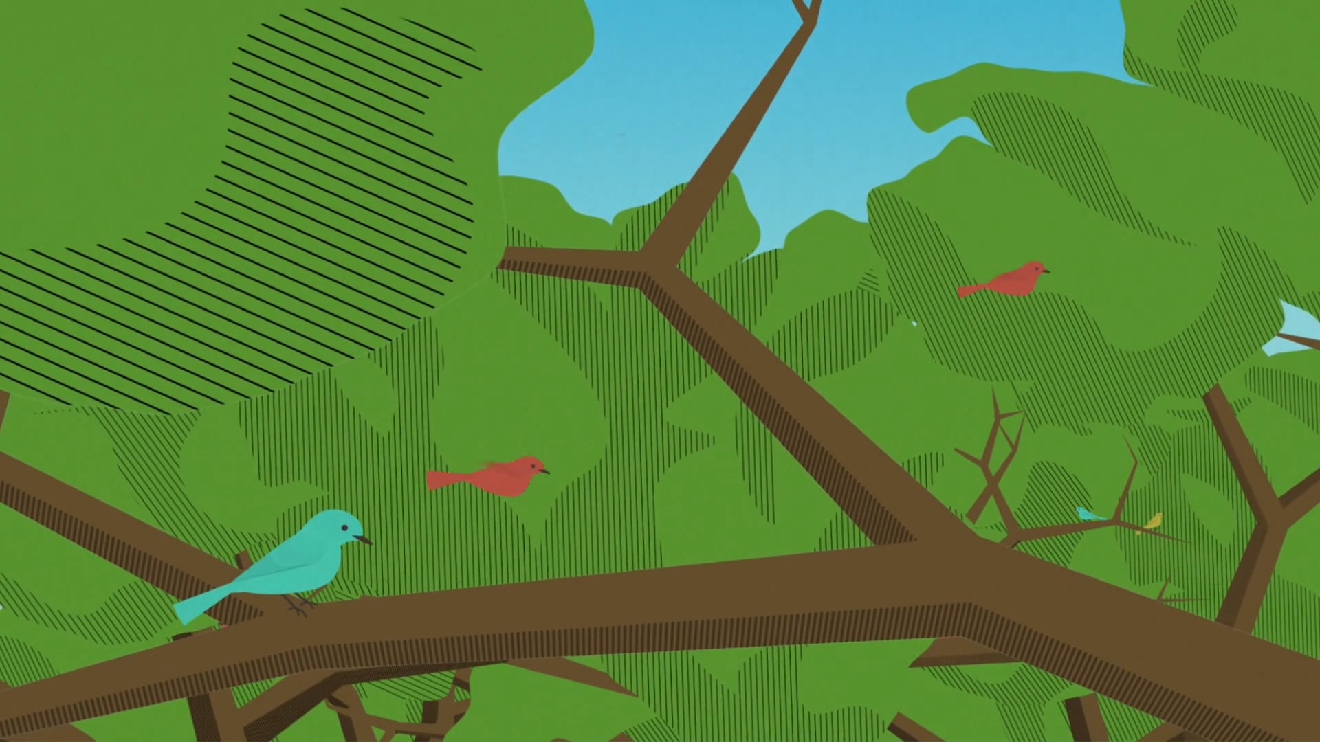 Plants for Birds