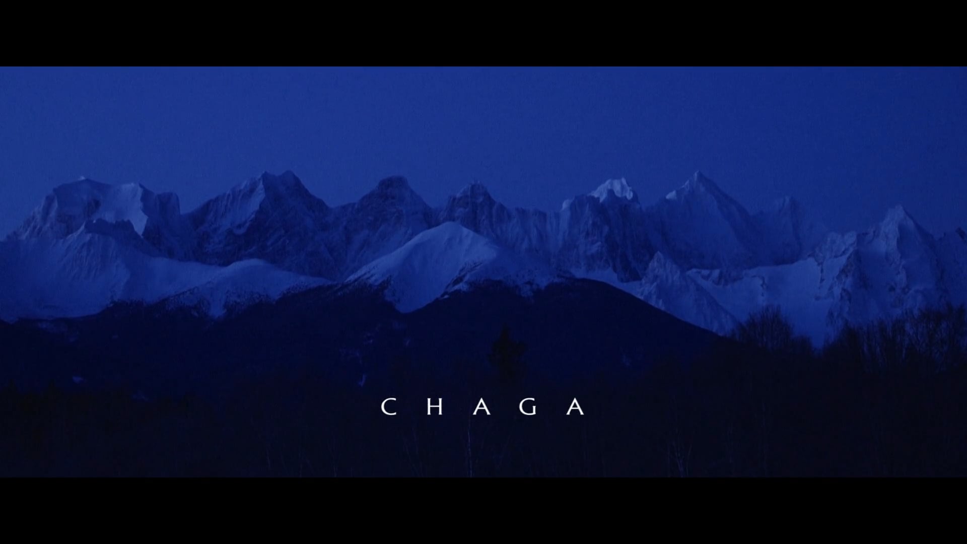 GITXM Mushroom - Chaga Promo Short Film 2017