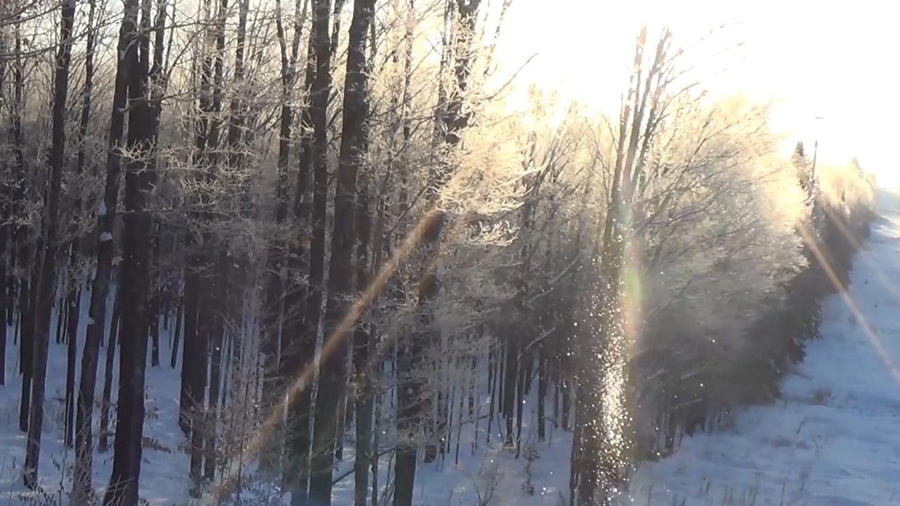 Sing Sweet When the Pain Comes (2016)