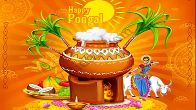 Happy Pongal – A Wonderful Animated Video For South Indian Tradition –  VRiddle