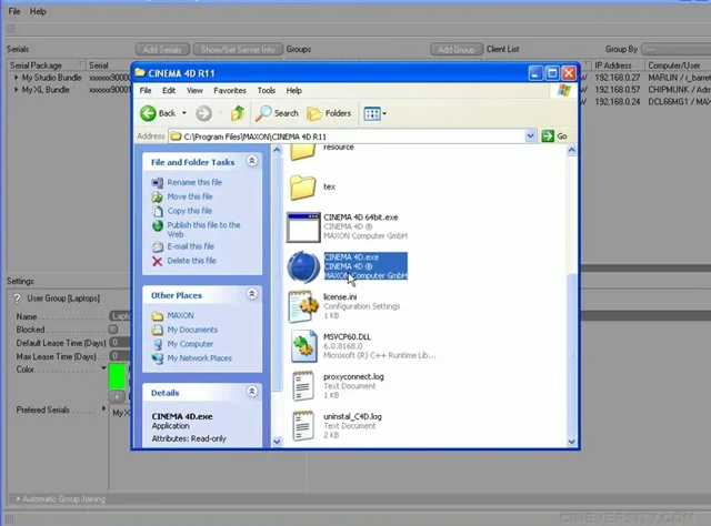 License Server Assignment Options