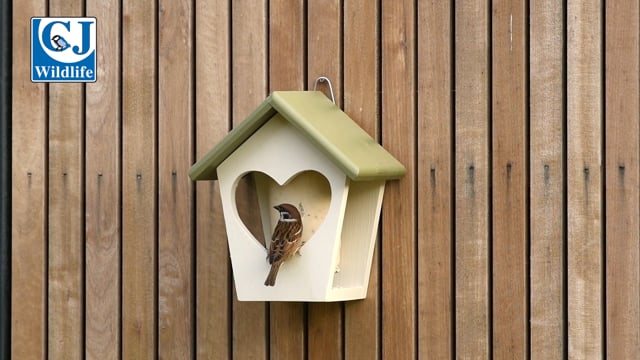 CJ Wildlife St.Moritz Peanut Cake Feeder