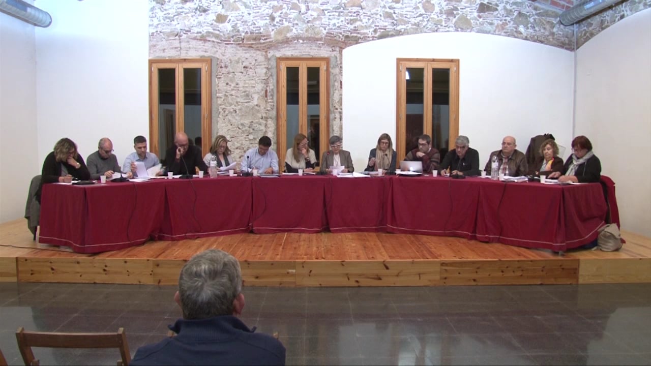 Ple municipal 23 de febrer de 2017- punt02