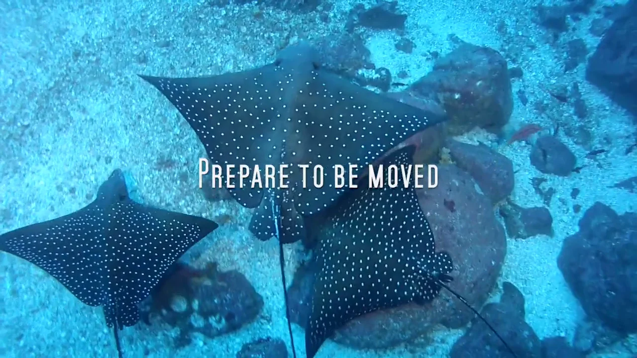 be-moved-on-vimeo