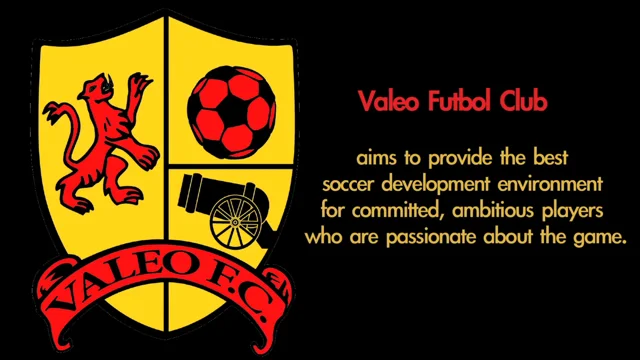 Valeo Futbol Club - Elite Competitive Soccer Programs