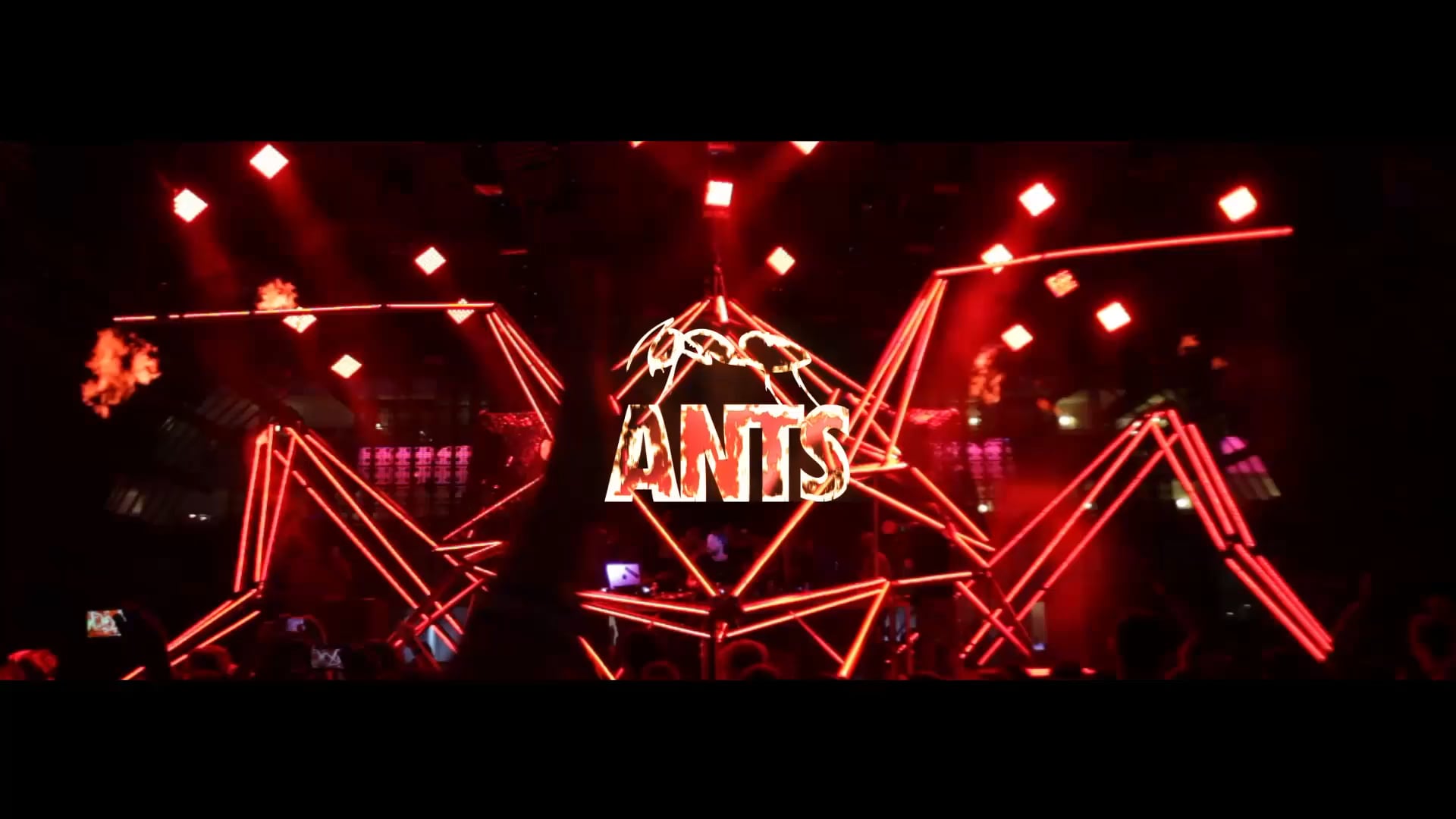 ANTS PARTY IBIZA USHUAIA