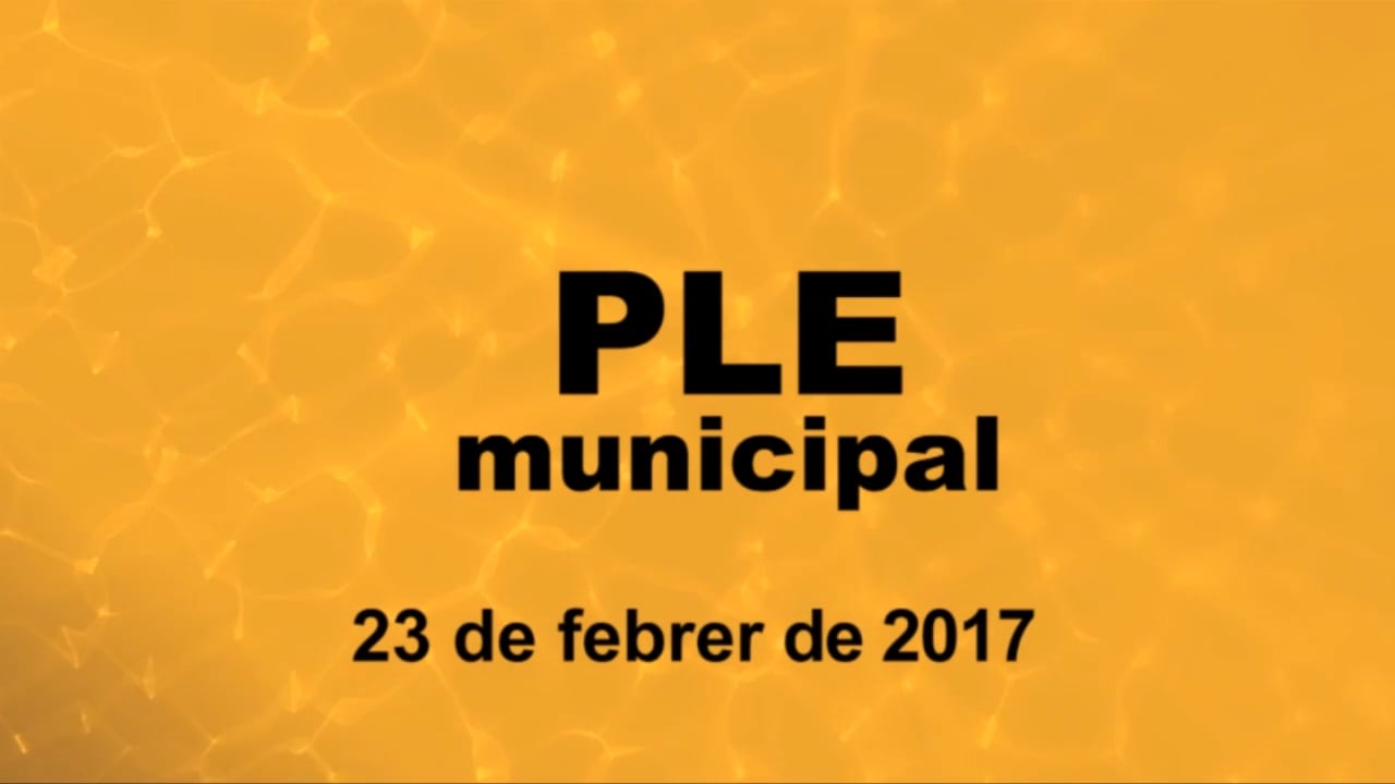 Ple municipal 23 de febrer de 2017- punt01