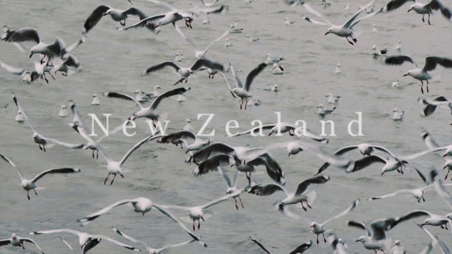 New Zealand