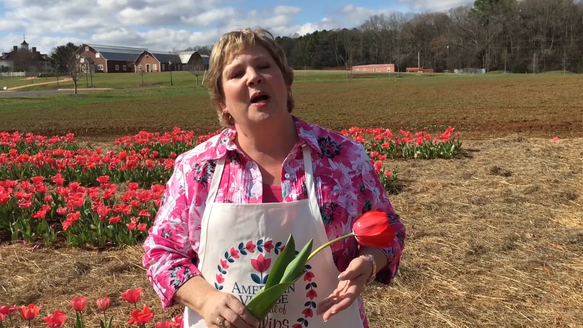 How you can enjoy the Tulip Festival at The American Village in