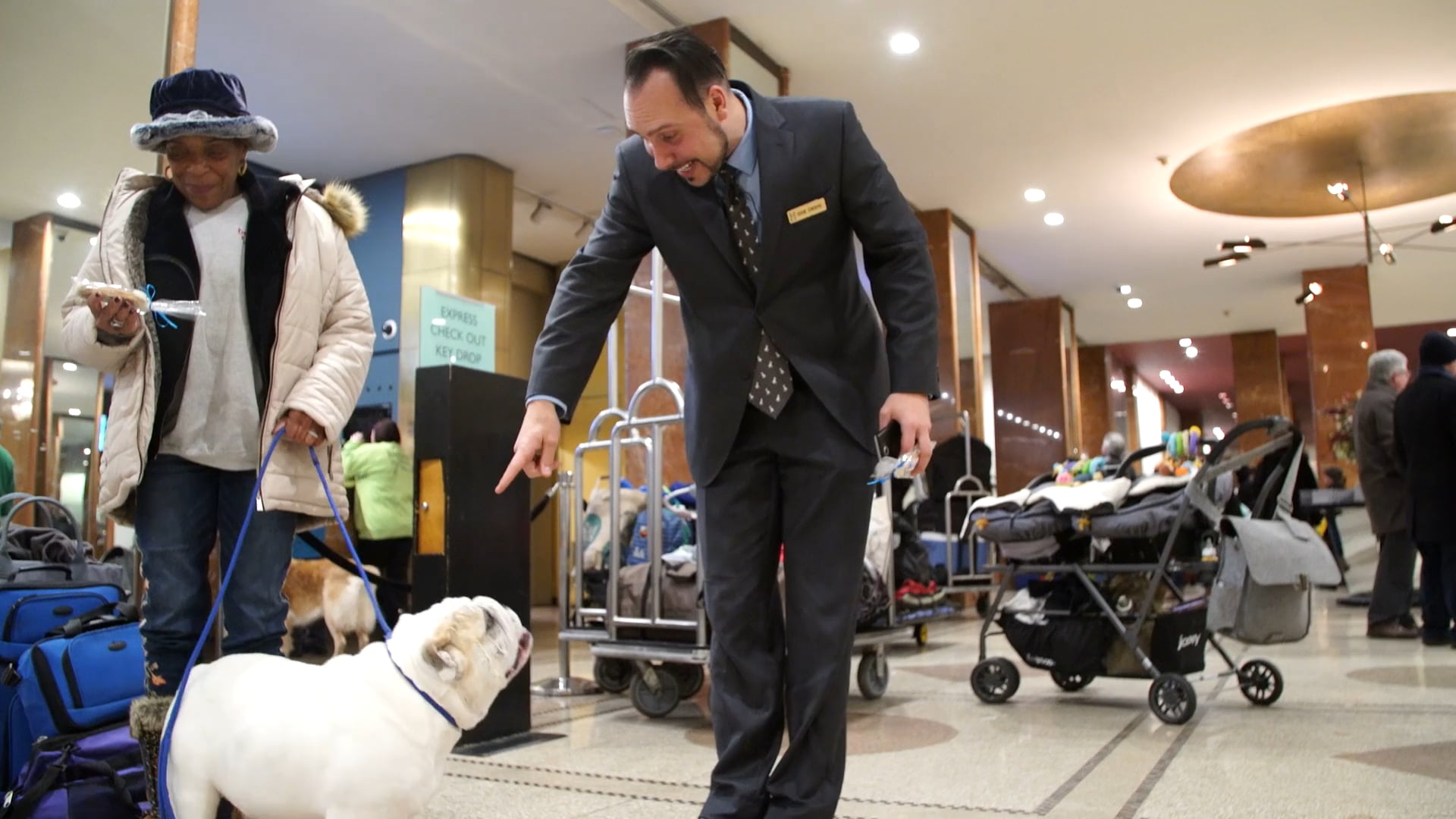 Meet the 'doggie concierge,' here to meet all your Westminster needs