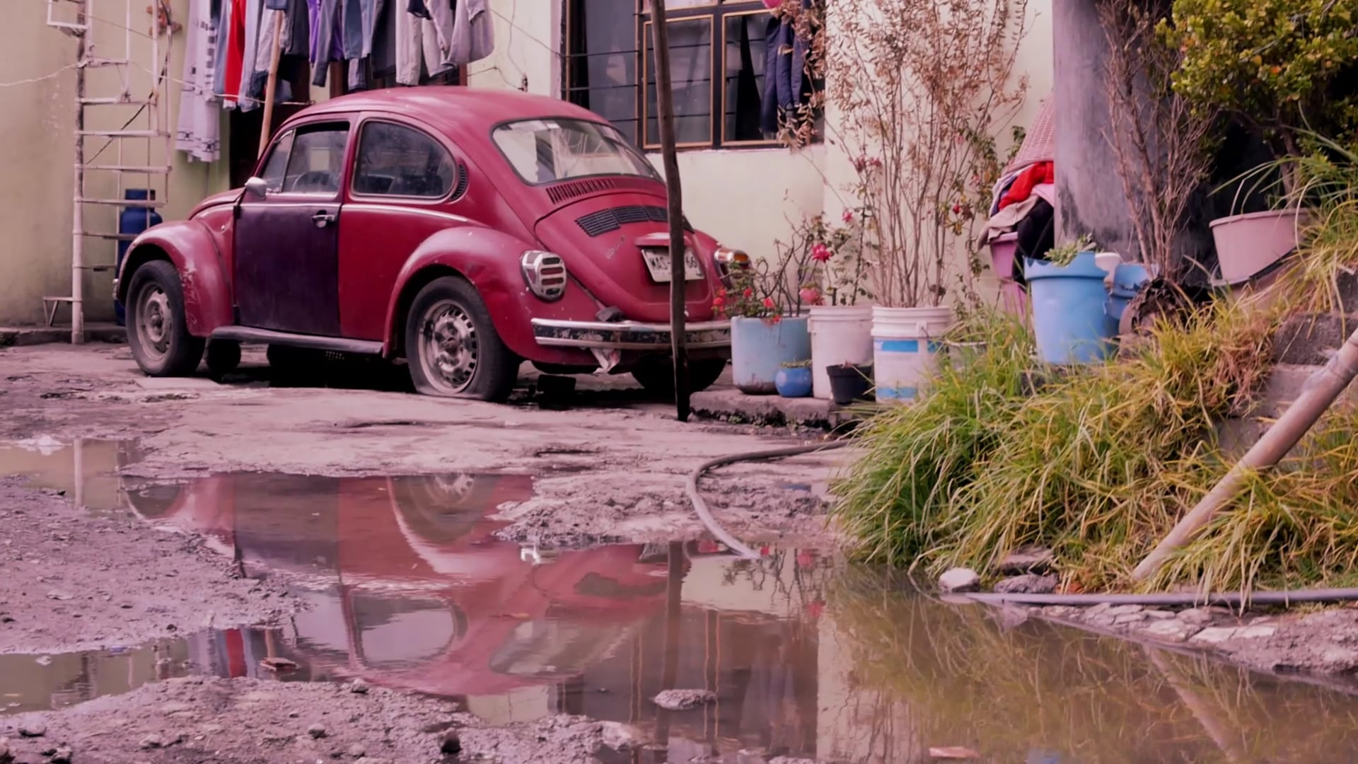 El Agua en Tlalpan