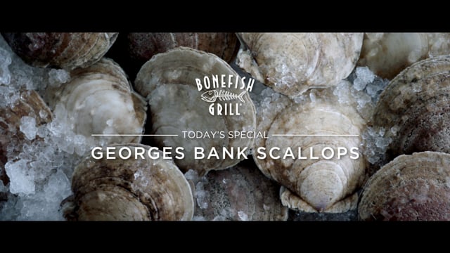 Bonefish Grill Commercial  - G.B SCALLOPS
