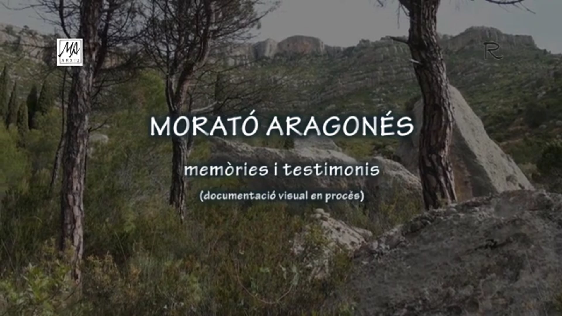 Arxiu Morató Aragonés. Testimonis