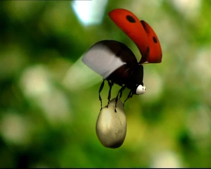 Minuscule Coccinelle VS Libellules