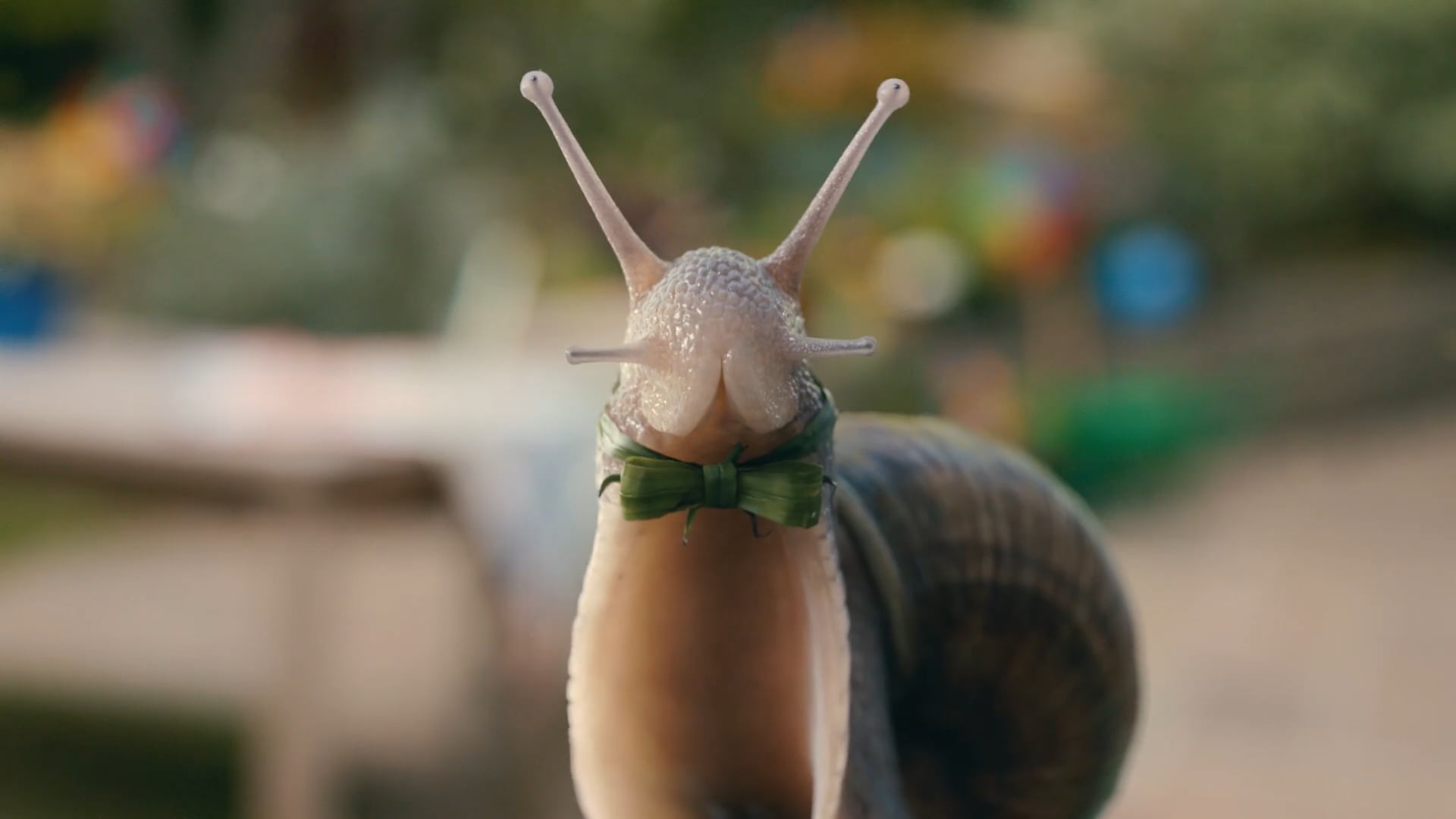 FREESAT COMMERCIAL - SHELDON THE SNAIL | Videos & Movies on Vimeo