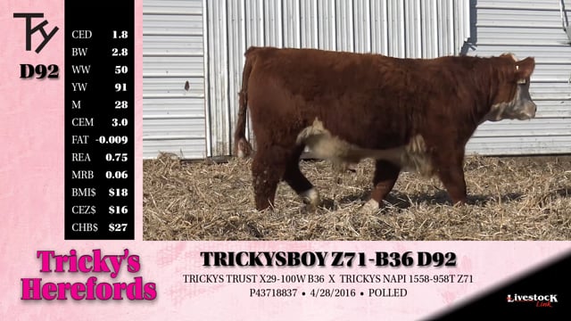 Lot #D92 - TRICKYS BOY Z71-B36 D89