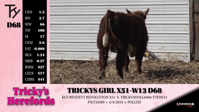 Lot #D68 - TRICKYS GIRL X51-W13 D68