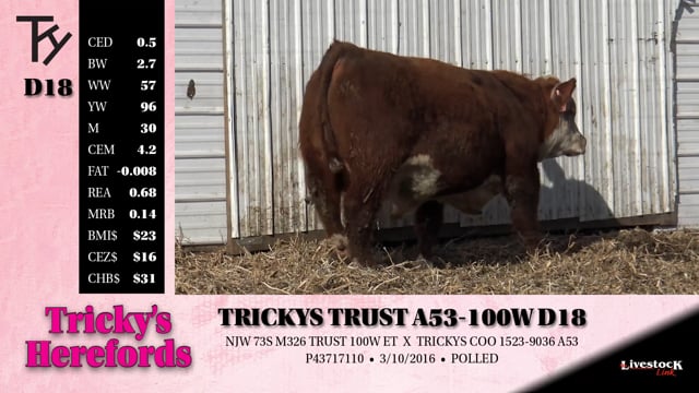 Lot #D18 - TRICKYS TRUST A53-100W D18