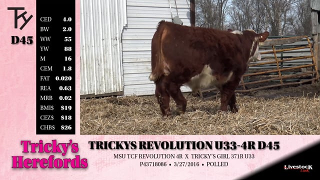 Lot #D46 - TRICKYS TRUST Z74-100W D46