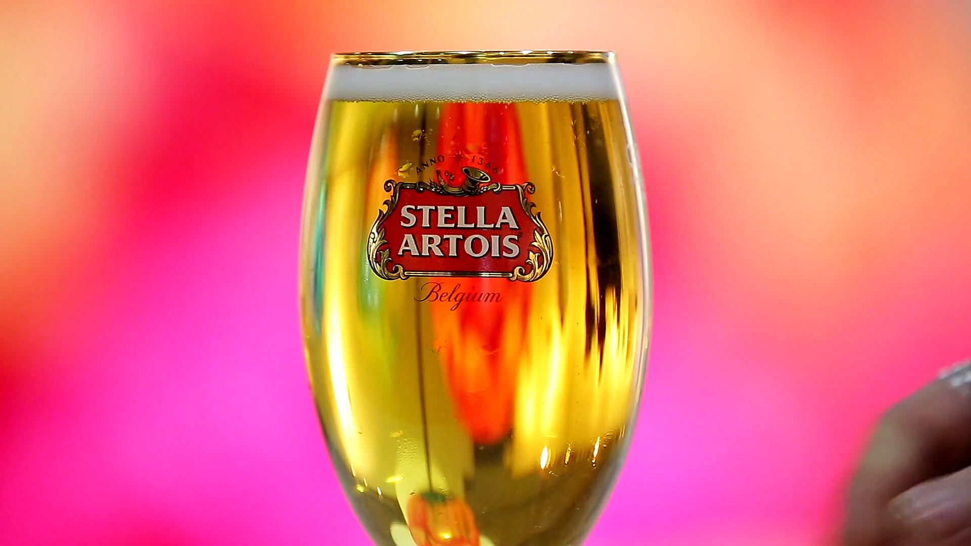 Stella Artois Event