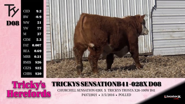 Lot #D08 - TRICKYS SENSATION B41-028X D08