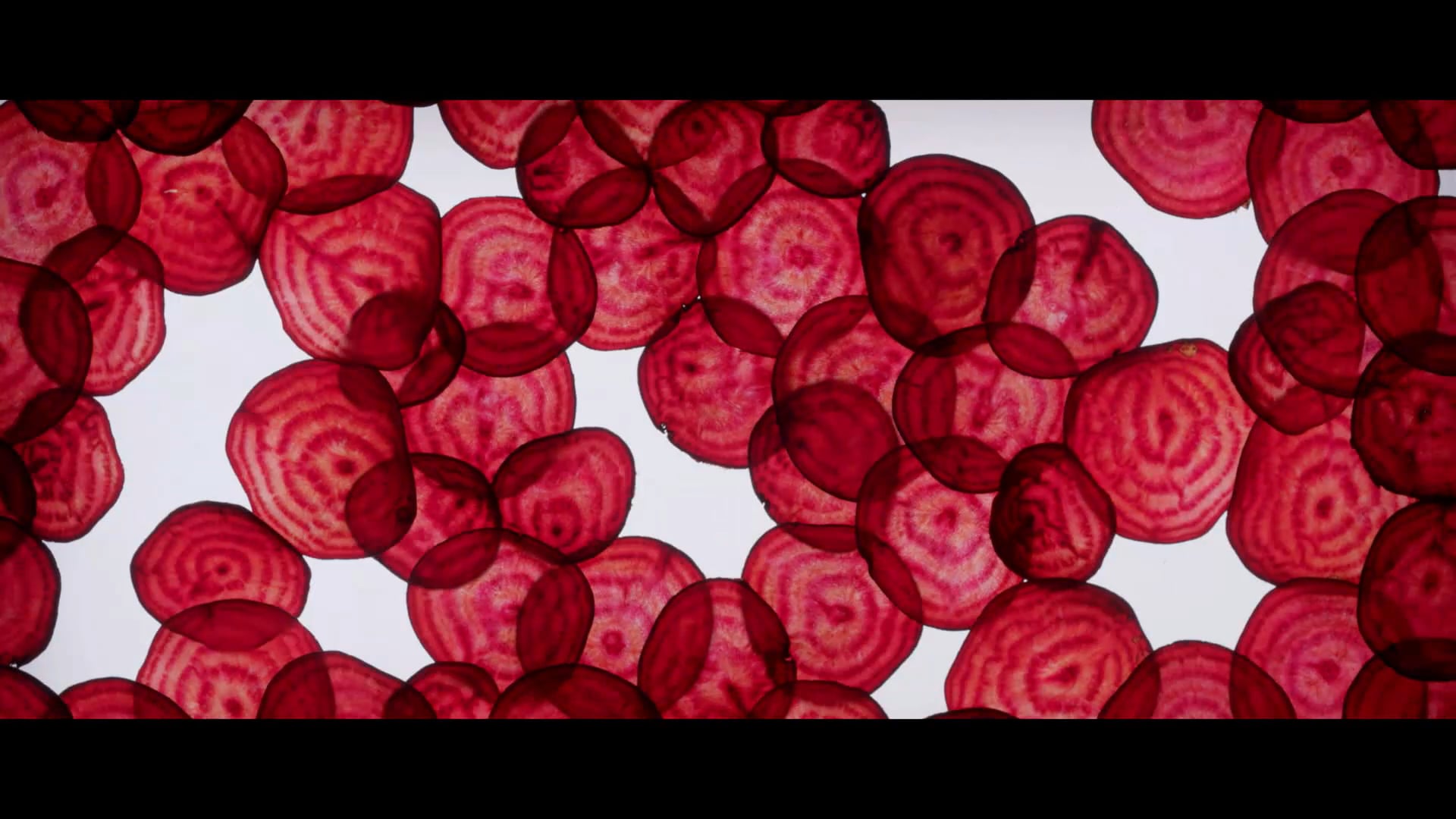Beetroot Union Red Teaser