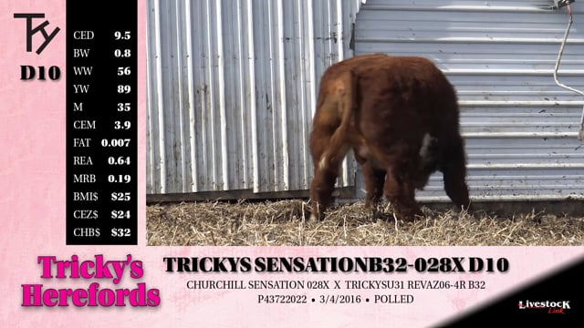 Lot #D10 - TRICKYS SENSATION B32-028X D10