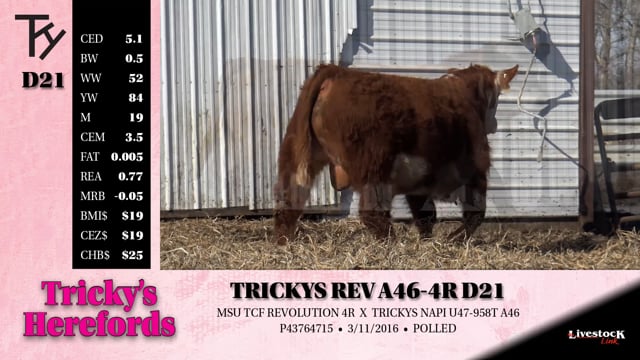 Lot #D21 - TRICKYS REV A46-4R D21