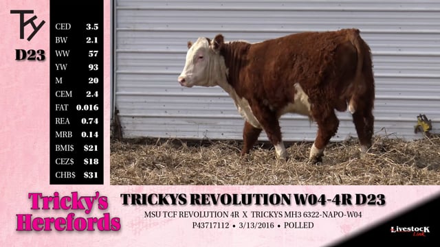 Lot #D23 - TRICKYS REVOLUTION W04-4R D23