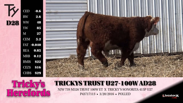 Lot #D28 - TRICKYS TRUST U27-100W D28