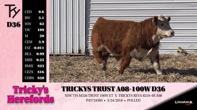 Lot #D36 - TRICKYS TRUST A08-100W D36