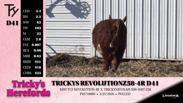 Lot #D41 - TRICKYS REVOLUTION Z58-4R D41