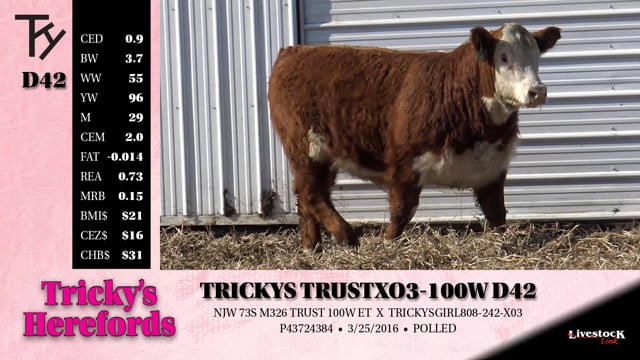 Lot #D42 - TRICKYS TRUST X03-100W D42