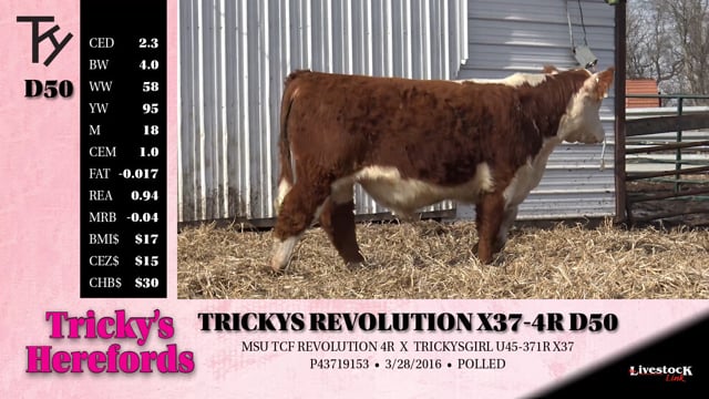 Lot #D50 - TRICKYS REVOLUTION X37-4R D50