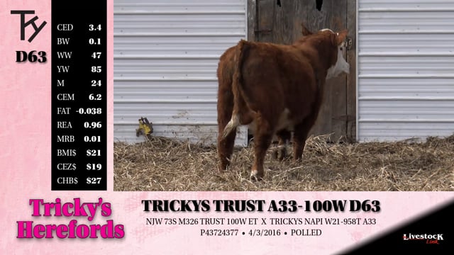Lot #D63 - TRICKYS TRUST A33-100W D63