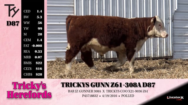 Lot #D87 - TRICKYS GUNN Z61-308A D87