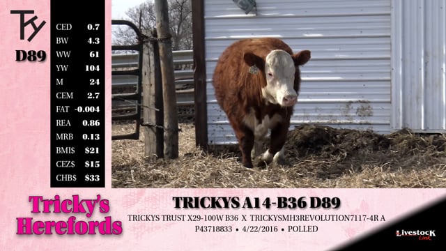 Lot #D89 - TRICKYS A14-B36 D89