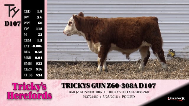 Lot #D107 - TRICKYS GUN Z60-308A D107