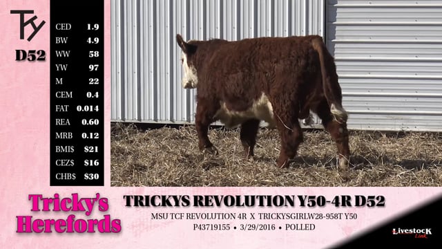 Lot #D52 - TRICKYS REVOLUTION Y50-4R D52