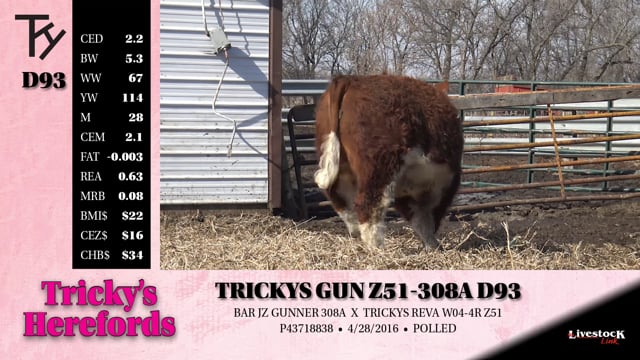 Lot #D93 - TRICKYS GUN Z51-308A D93