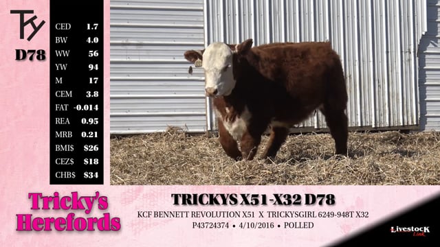 Lot #D78 - TRICKYS X51-X32 D78
