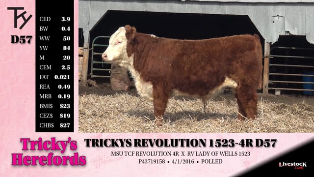 Lot #D57 - TRICKYS REVOLUTION 1523-4R D57