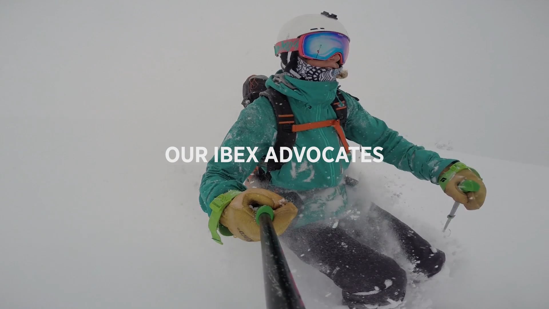 Ibex Advocate Team Video