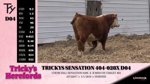 Lot #D04 - TRICKYS SENSATION 404-028X D04