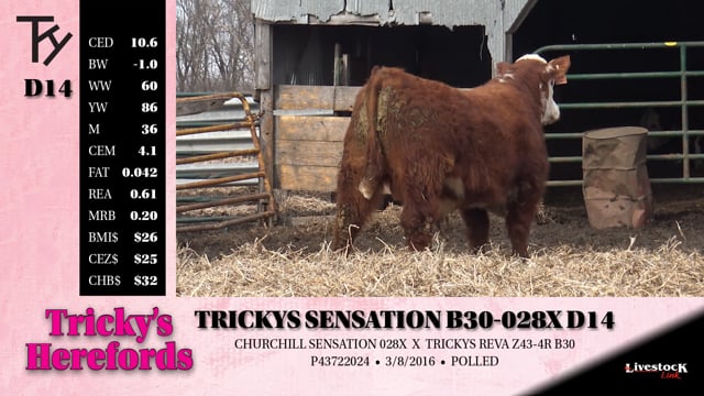 Lot #D14 - TRICKYS SENSATION B30-028X D14